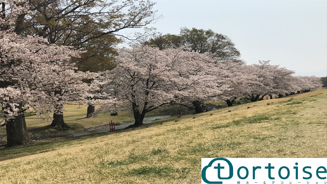 トータスは4月からの新生活・新社会人を全力で応援してます！！