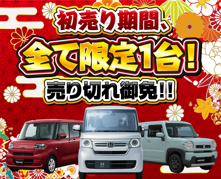 初売り期間、全て限定1台！売り切れ御免！